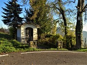 Monte Zucco (1232 m) ad anello in solitaria sui sentieri di casa (Zogno-300 m) 18nov闂????20 - FOTOGALLERY